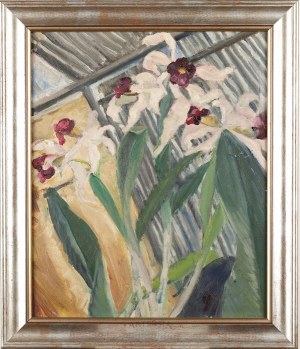 Michalina Krzyżanowska (1883-1962), Storczyki 4, 1956