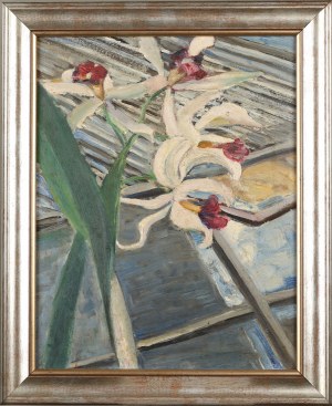 Michalina Krzyżanowska (1883-1962), Storczyki 3, ok. 1956
