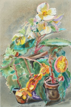Adolf Łubiański-Inatowicz (1892-1971), Kwiaty w doniczkach