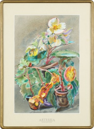 Adolf Łubiański-Inatowicz (1892-1971), Kwiaty w doniczkach