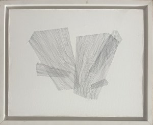 Anna Szprynger ( 1982 ), b/t, 2011