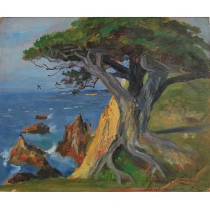 Wojciech Kossak, Pejzaż z Monterey