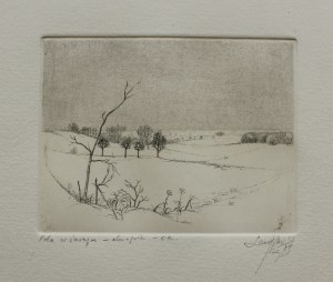 Leszek Rózga, Pola w śniegu