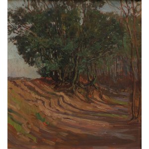 Werner Vogel, Gorge