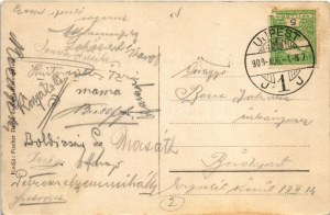 1909 Budapest XV. Rákospalota, Horváth féle vendéglő, kerthelyiség, pincérek, kutya. Fischer Dezső és társa kiadása ...