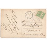 1910 Kistarcsa, Kis-Tarcsa; Fő utca, Eckstein üzlete, lovaskocsi (EK)