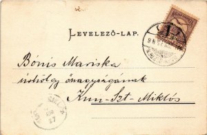 1901 Nagyszeben, Hermannstadt, Sibiu; látkép. Druck u. Verlag v. Jos. Drotleff. Szecessziós litho keret címerrel ...