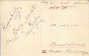 1914 Radnaborberek, Borberek-fürdő, Valea Vinului; Széchenyi forrás / spring source (gyűrődés / crease...