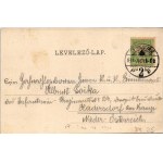 1901 Temesvár, Timisoara; gyárvárosi részlet. Polatsek féle könyvkereskedés kiadása / Fabric, factory...