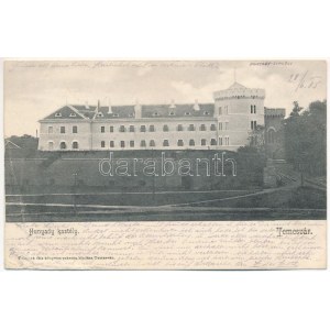 1905 Temesvár, Timisoara; Hunyady kastély. Polatsek kiadása / castle (EB)