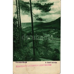 1921 Borosznófürdő, Brusno-kúpele (Borosznó, Brusznó, Brusno); a fürdő fekvése / spa (EK)