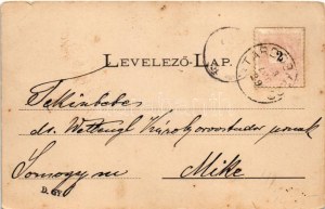 1898 (Vorläufer) Érsekújvár, Nové Zámky; Kossuth tér, Központi kávéház, üzletek. Mayer fényképész kiadása / square...