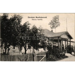 1914 Mezőlaborc, Medzilaborce; Halasy kastély. Rubin Lipót kiadása / castle (fl)