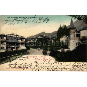 1903 Tátrafüred, Schmecks, Smokovec (Magas-Tátra, Vysoké Tatry); Maurer Adolf üzlete / shop