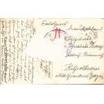 1915 Svishtov, Sistovo, Sistov; Bahnhof. Verlag D. T. Damianoff / railway station, locomotive, train (Rb...