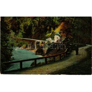 1913 Defileul Jiului, Zsil-völgy (Gorj); Cantonul Marga, Salutari din Gorj / valley, Jiu riverside (fl...