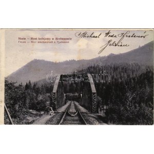 1914 Skole, Most kolejowy w Hrebenowie / railway bridge to Hrebeniv (fl)