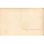 Prinz Ernst August, Herzog zu Braunschweig und Prinzessin Viktoria Luise von Preussen und Prinz Oskar...