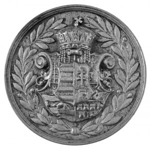1897. ANINA (Stájerlakanina) nagyméretű kétoldalas öntött fehérfém kohász / bányász emlékérem (~97mm) T:XF ...