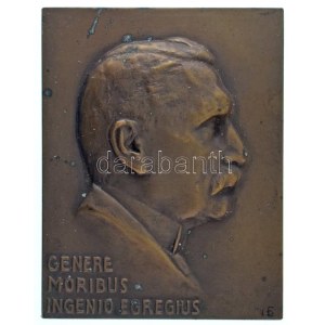 Ausztia ~1900. GENERE - MORIBUS - INGENIO ENGREGIUS bronz plakett. Szign.: I.E. (127g/71x33mm) T:AU patina / Austria ...