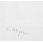 Fajó János (1937-2018): Mélység, 1987. Szitanyomat, papír, jelzett. Számozott: 49/130. 31,5x31,5 cm...