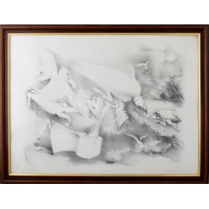 Almásy Aladár (1946-): A hitnyitás. Litográfia, papír, jelzett, számozott (10/24). 52x70 cm. Üvegezett fakeretben...