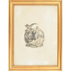 Franz von Bayros (1866-1924): Erotikus ex libris Eugene Ringer, Budapest. Heliogravür, papír, jelzett. Üvegezett...