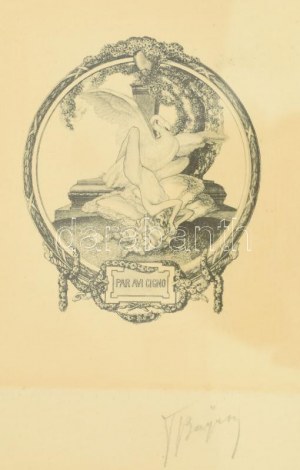 Franz von Bayros (1866-1924): Léda és a hattyú. Heliogravür, papír, jelzett. Üvegezett, dekoratív fakeretben...