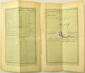 1905 Késmárki Állami Szövőipari-Szakiskola végbizonyítványa, belényesi születésű...