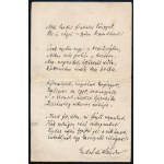 cca 1900 Endrődi Sándor költő Labancország...