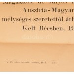 1916 november 21. IV. Károly Népeimhez c. proklamációjának nagyméretű plakátja...