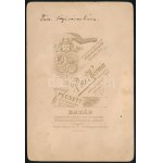 cca 1895 A pécsi Városháza előtti tér a környező épületekkel, Szentháromság-szoborral, konflissal...