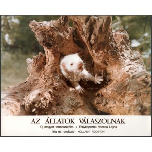cca 1989 előtt készült, Az állatok válaszolnak című magyar film jelenetei és szereplői...