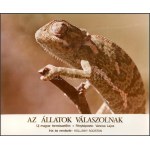 cca 1989 előtt készült, Az állatok válaszolnak című magyar film jelenetei és szereplői...