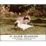 cca 1989 előtt készült, Az állatok válaszolnak című magyar film jelenetei és szereplői...