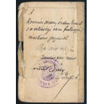 1923 Sárdy Brutus festőművész fényképes katonai emléklapja, igazoványa