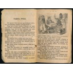 1886 Bp., Csalóka Péter élete és kalandjai, ritka!, 15p