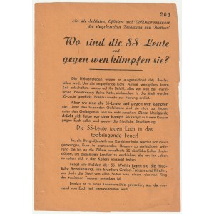 WROCŁAW. Wo sind die SS-Leute und gegen wen kämpfen sie? - „Gdzie są SS-mani i przeciwko komu oni wa…