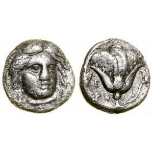 Grecja i posthellenistyczne, hemidrachma, (ok. 305-275 pne)