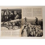 Der Rächer von Laramie - von Anthony Mann [Filmprogramm].