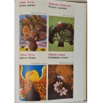 LIBRORUM IN POLONIA EDITORUM DELICIAE czyli wdzięk i urok polskiej książki ILUSTRACJE ŁADNA OPRAWA!