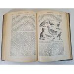 HAACKE Wilhelm - Происхождение животного мира / L'origine du monde animal. Publié.1903, en russe [richement illustré].