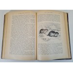 HAACKE Wilhelm - Происхождение животного мира / L'origine du monde animal. Publié.1903, en russe [richement illustré].