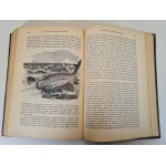 HAACKE Wilhelm - Происхождение животного мира / L'origine du monde animal. Publié.1903, en russe [richement illustré].