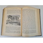 HAACKE Wilhelm - Происхождение животного мира / L'origine du monde animal. Publié.1903, en russe [richement illustré].