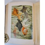 HAACKE Wilhelm - Происхождение животного мира / L'origine du monde animal. Publié.1903, en russe [richement illustré].