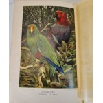 HAACKE Wilhelm - Происхождение животного мира / L'origine du monde animal. Publié.1903, en russe [richement illustré].