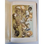 HAACKE Wilhelm - Происхождение животного мира / L'origine du monde animal. Publié.1903, en russe [richement illustré].