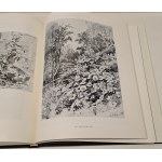 [SZYSZKIN] Savinov Alexei, Feodorov-Davydov Alexei - Ivan Chichkine (Iwan Szyszkin) ILUSTRACJE