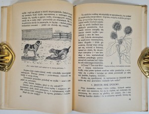 HABERKANTÓWNA Wanda - ŚMIETNIK OPOWIADANIA PRZYRODNICZE Wyd. 1928 Ilustracje